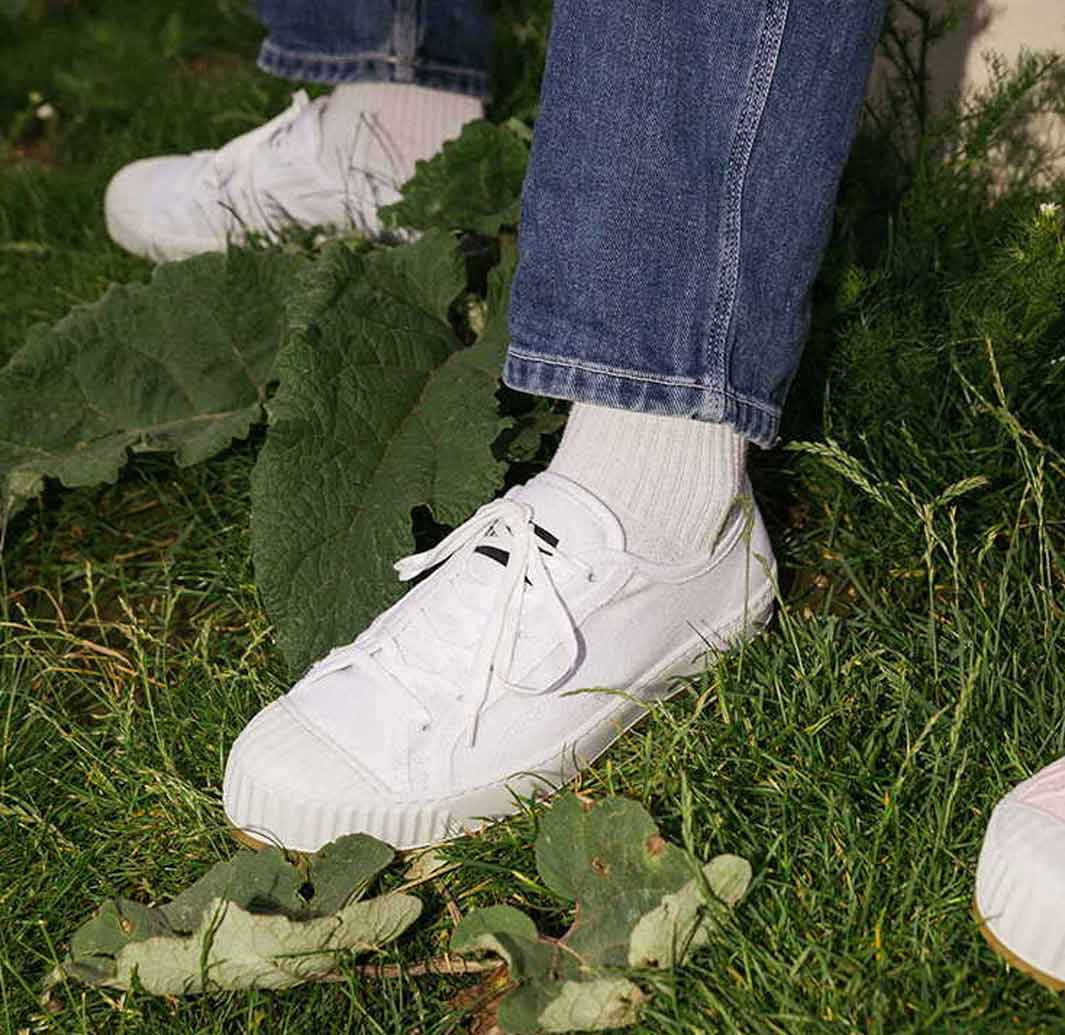 White Canvas Sneakers on Green Grass